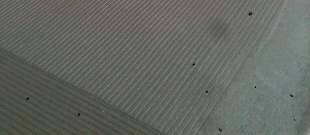 Cattle Housing Areas